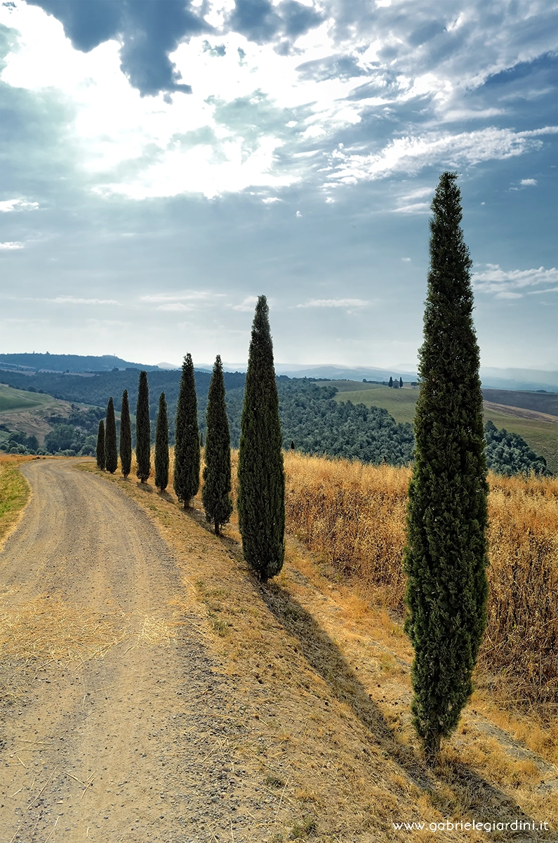 D7K2132_©gabrielegiardini