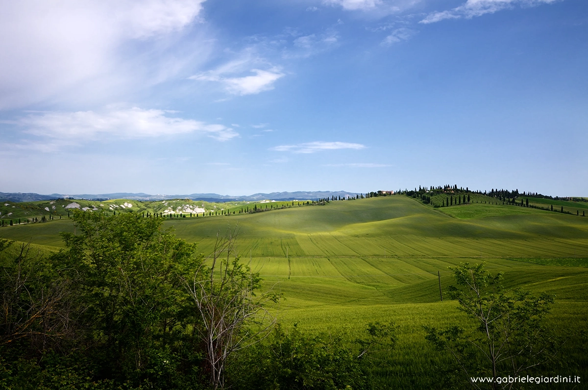 D7K8190_©gabrielegiardini