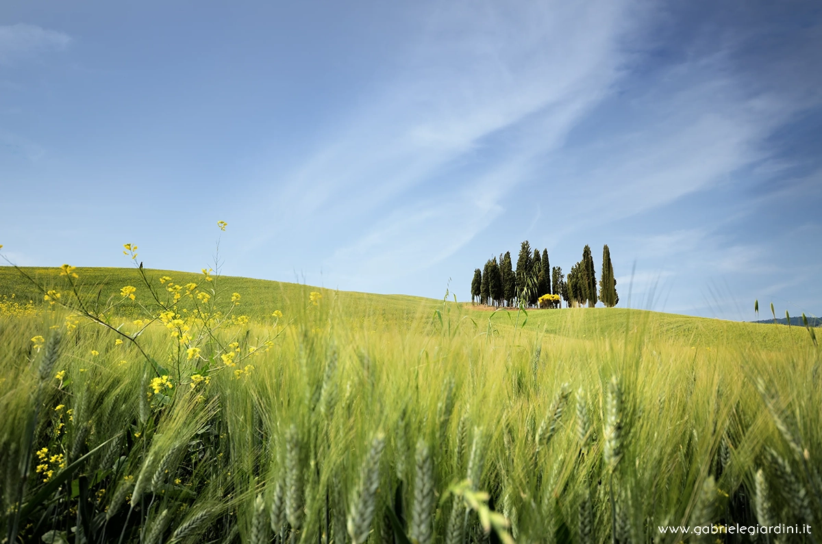 D7K8212_©gabrielegiardini