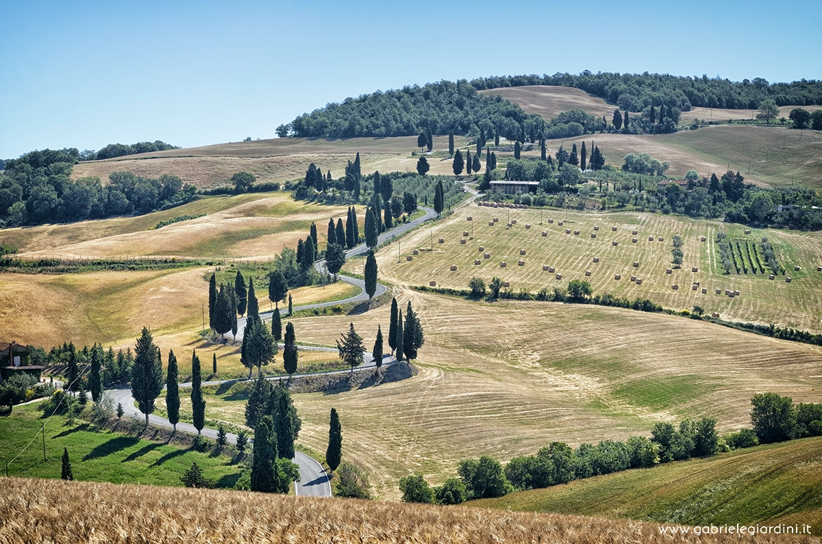 D7K8466_©gabrielegiardini