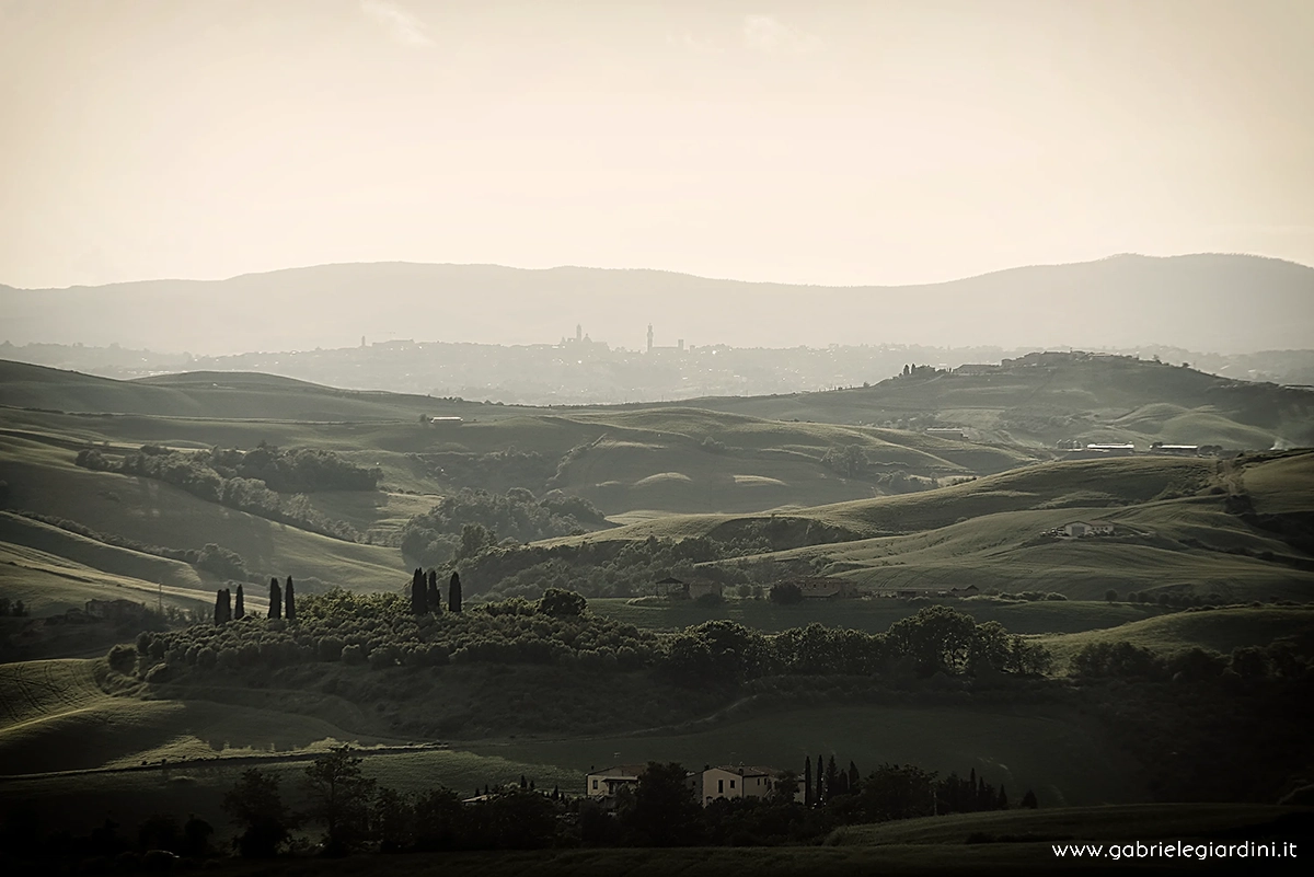 SAM3152_©gabrielegiardini